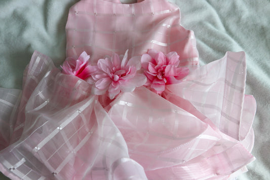 Aurora Dog Dress