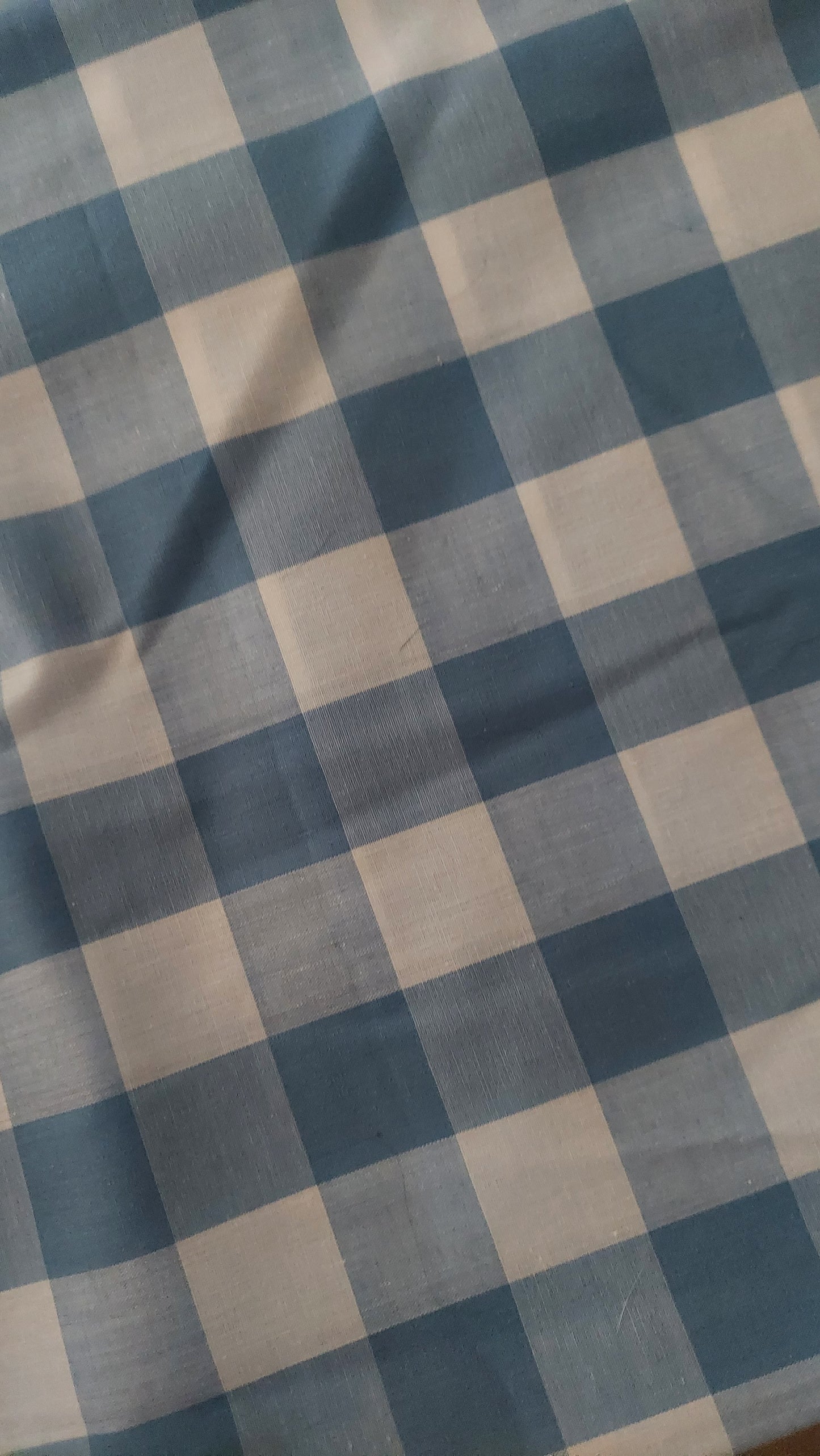 Blue plaid Dog Suit