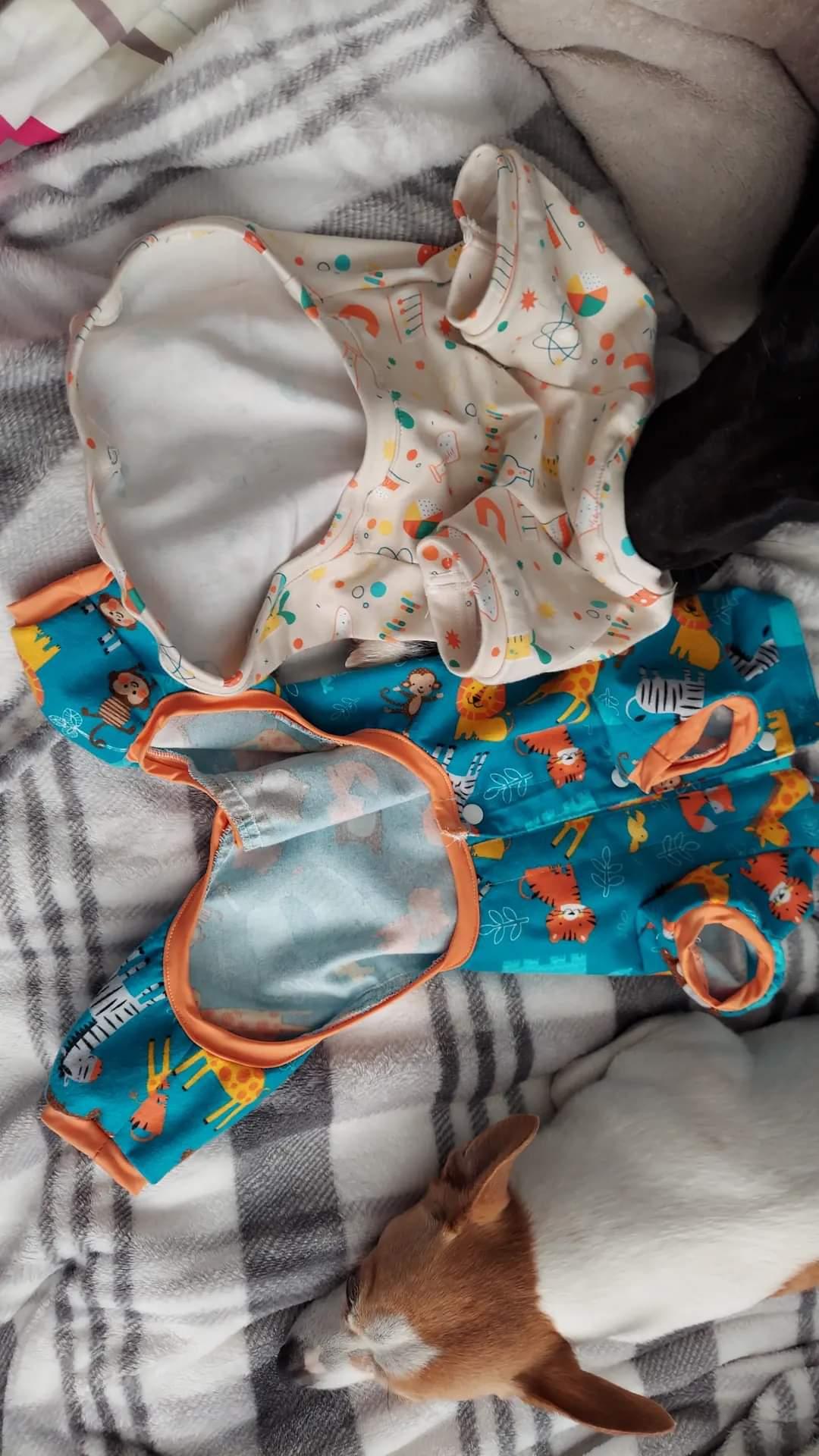 Wild Animals Dog PJ