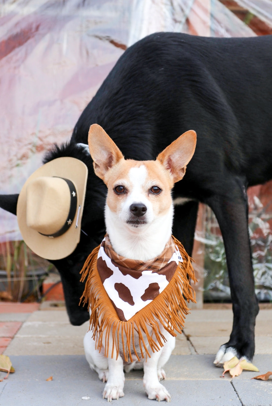 Howdy y'all (brown)