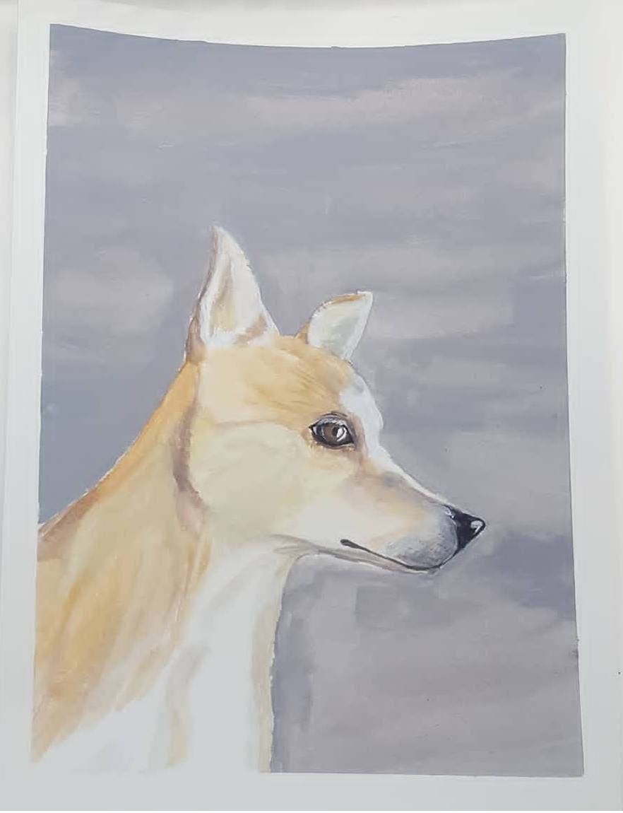 Custom Pet Portraits Watercolor Paper