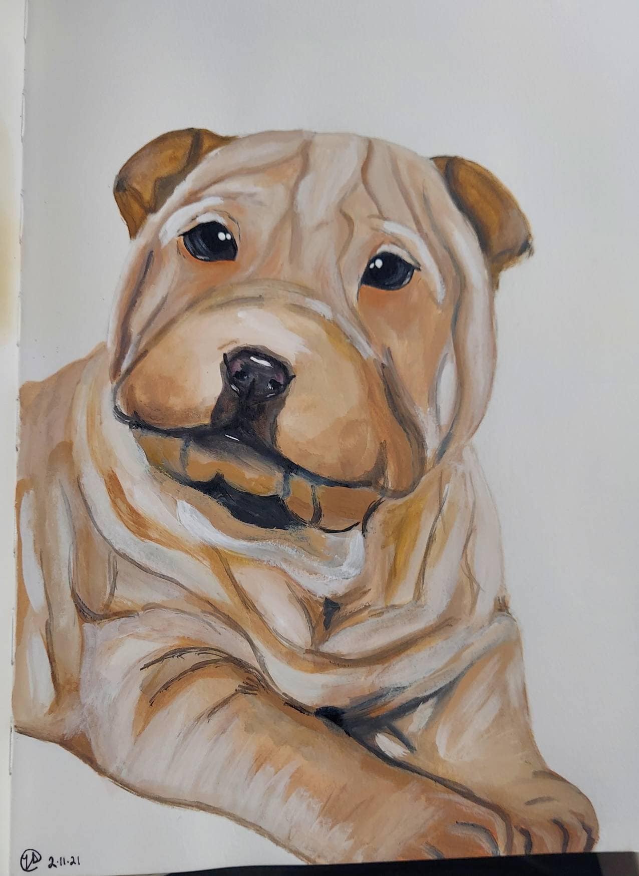 Custom Pet Portraits Watercolor Paper