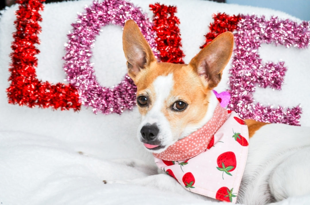 Inventory Cleanout SALE (50% off)