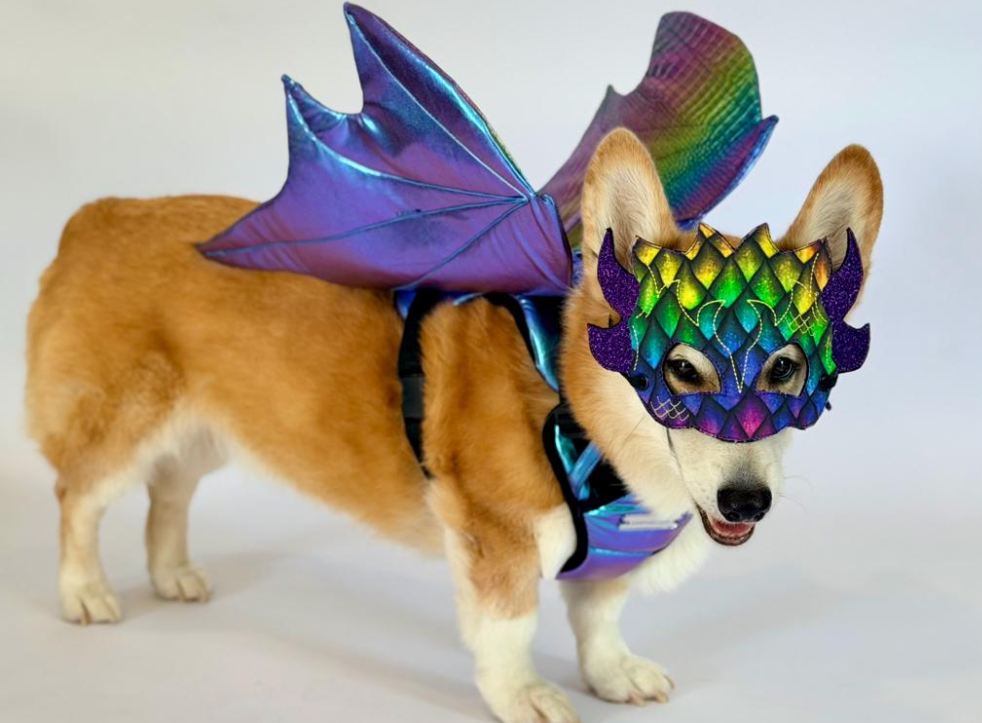 Dragon Wings
