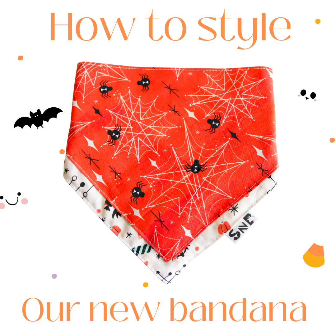 Trick or Treat Dog Bandana