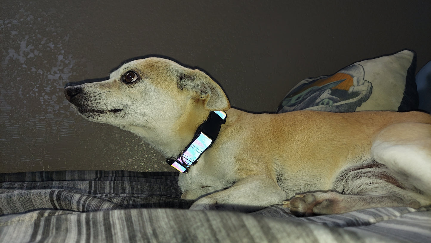 Reflective Dog Collar