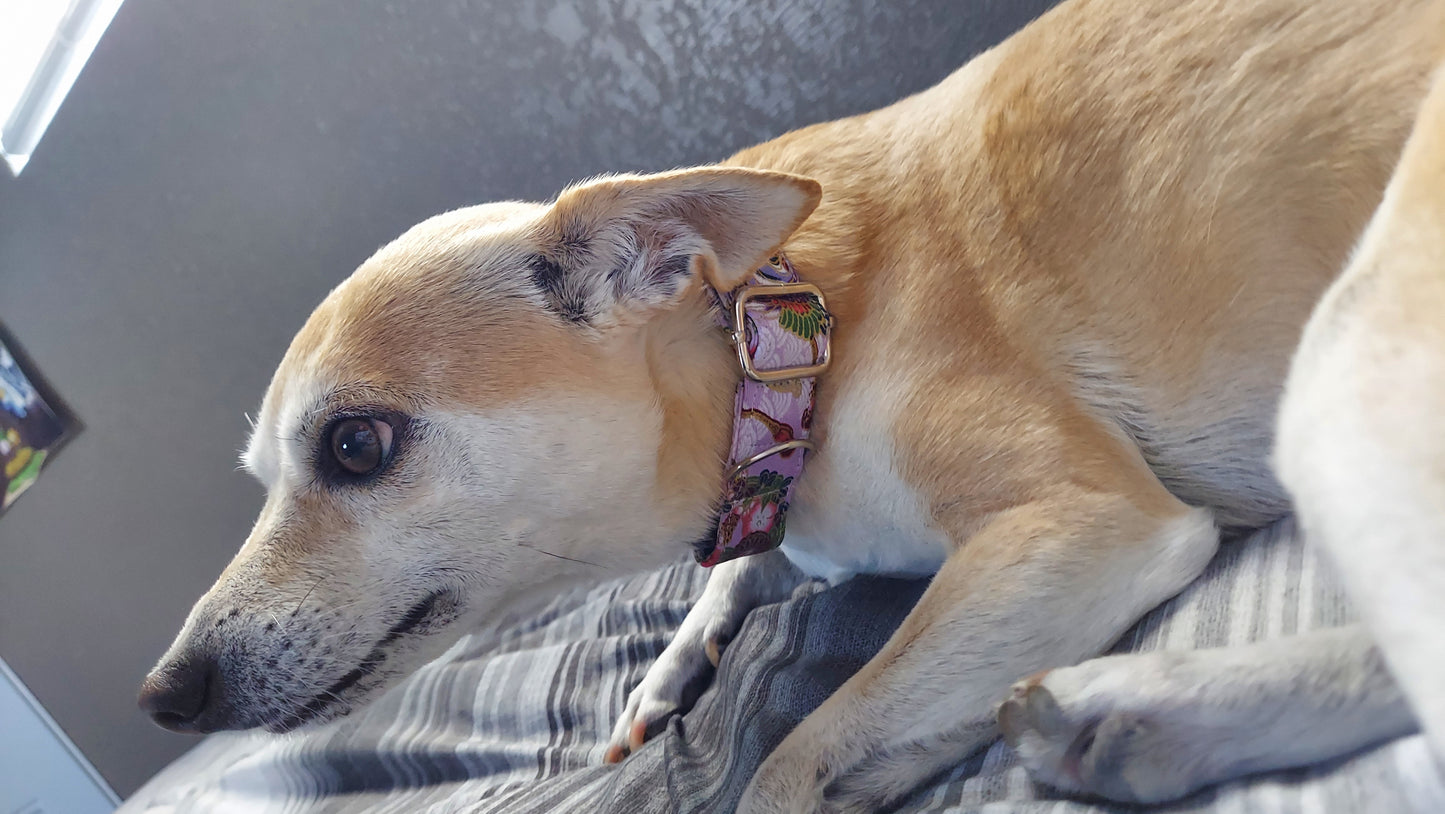 Lavender Bloom Dog Collar