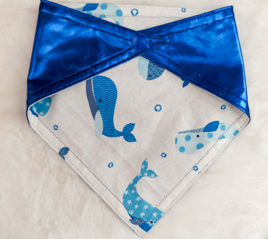 Oh Whale Dog Bandana