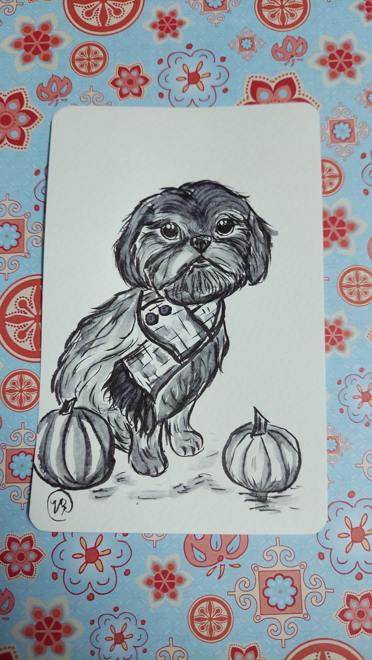 Shih Tzu Mini Ink Drawing