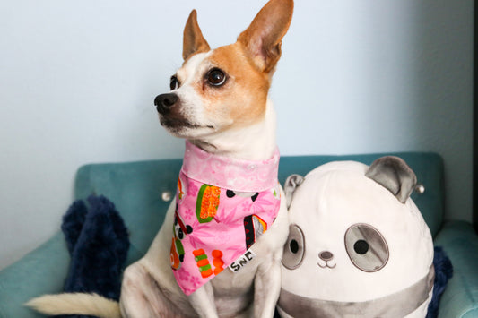 Panda panda Dog Bandana