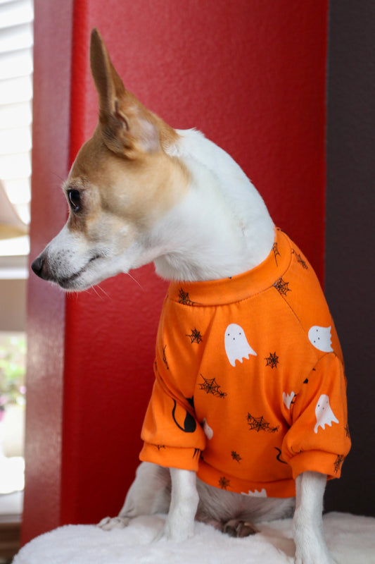 Spooky Halloween Dog PJ