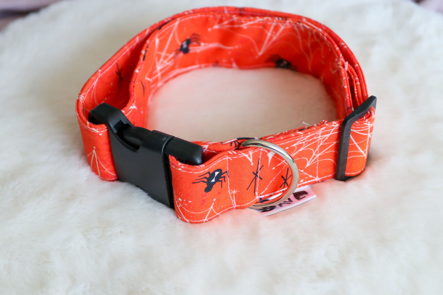 Orange Creepy Crawlies Dog Collar