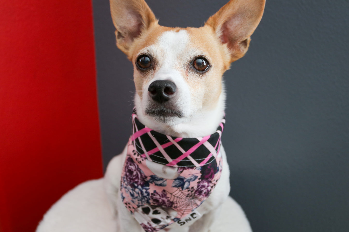 Skull Rose Dog Bandana