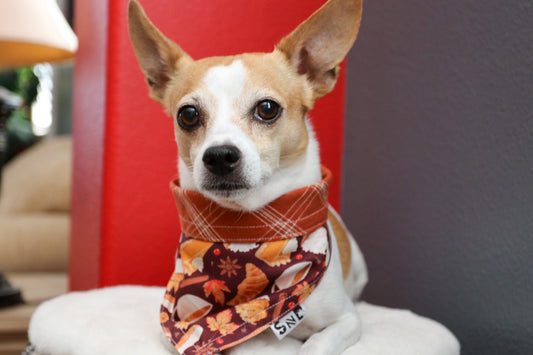 Autumn Spread Dog Bandana