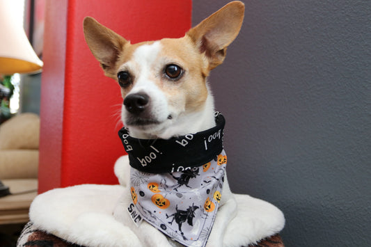 boo! Dog Bandana