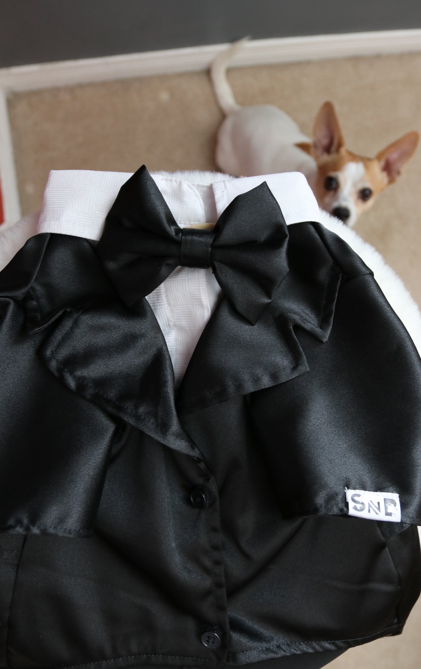 Black & White Tuxedo Dog Suit