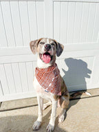 Rio Tango Dog Bandana