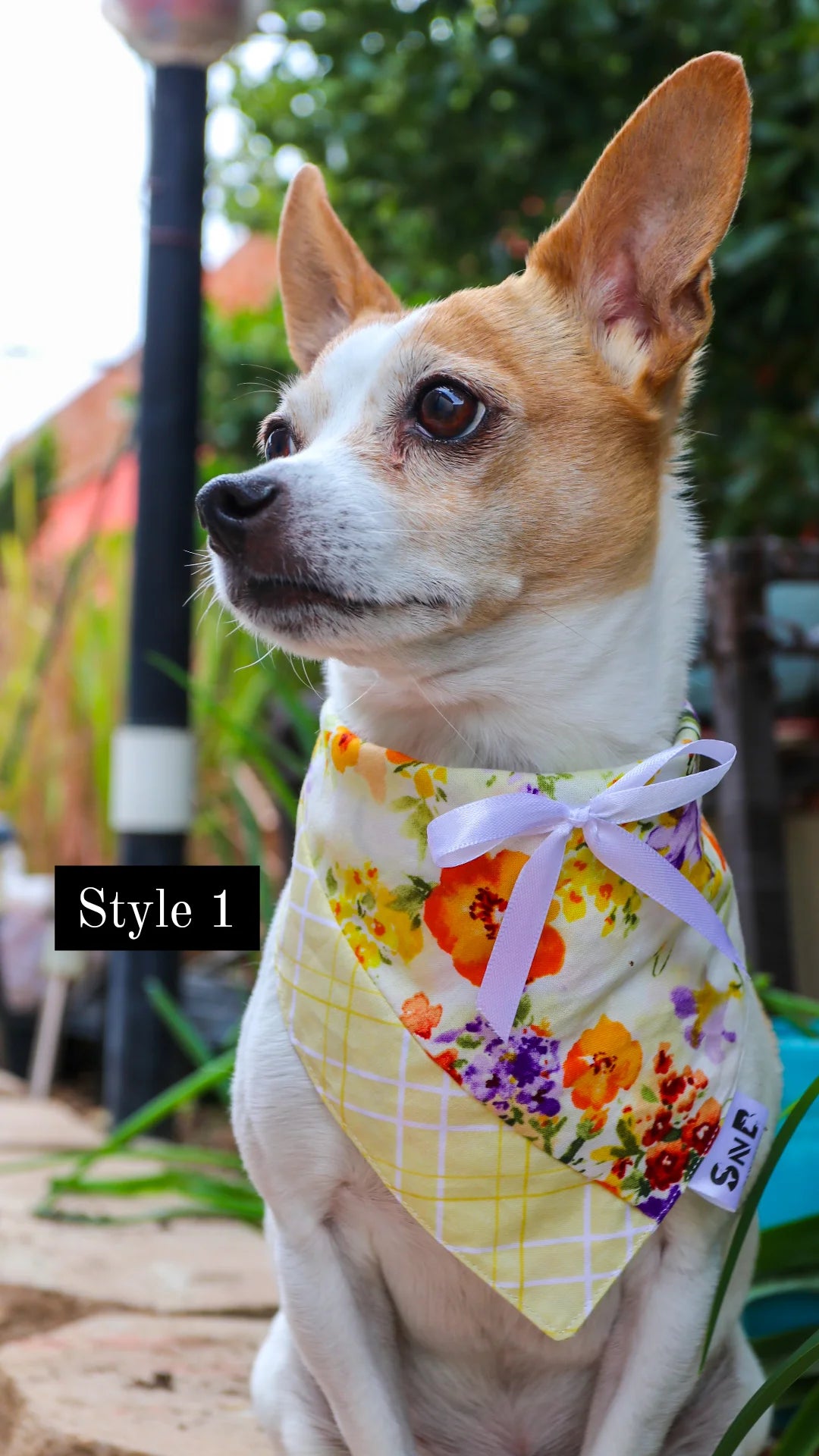 Lavender Lemonade Dog Bandana