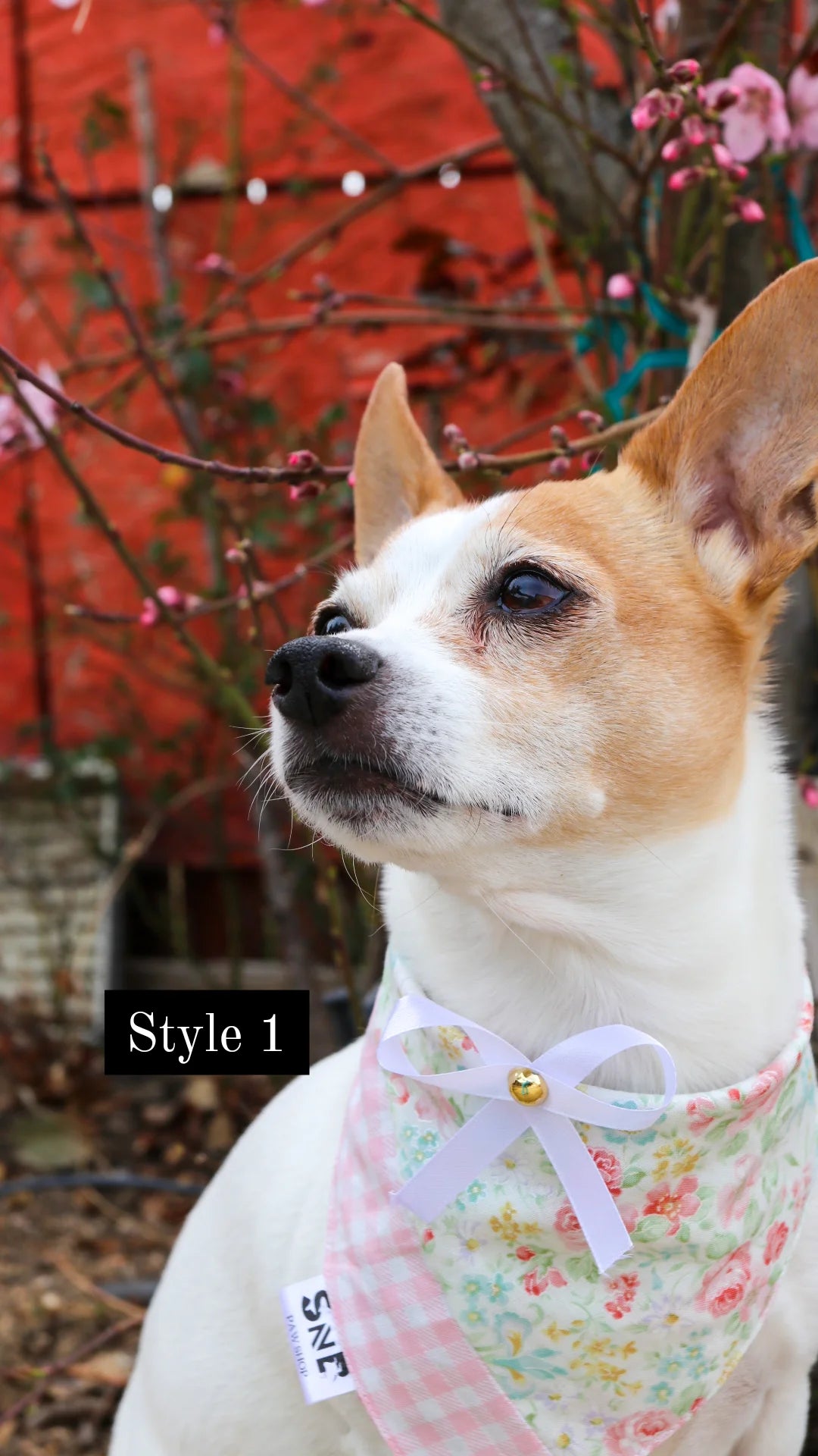 Garden Party Dog Bandana