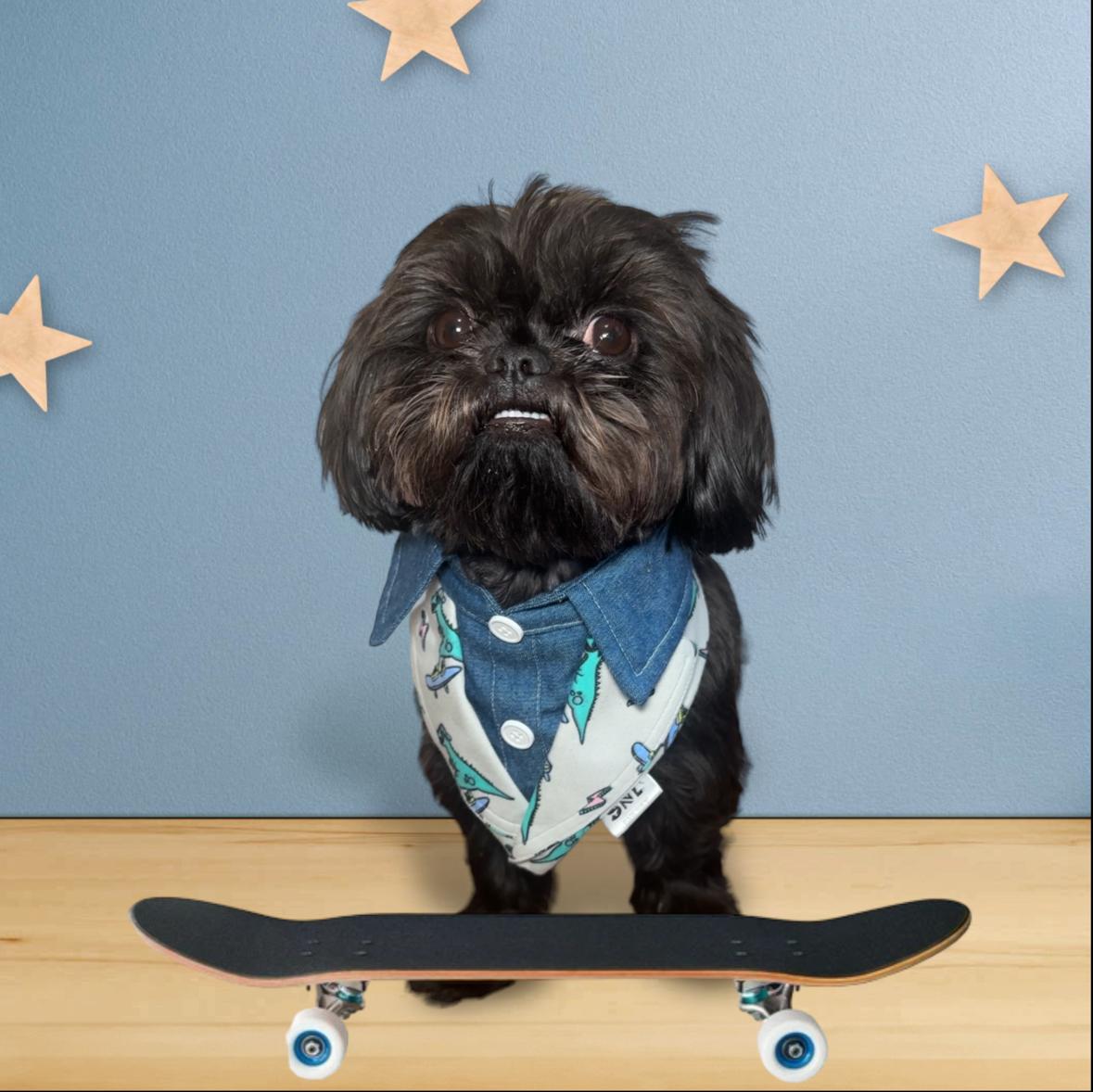 Denim Dino Tux Dog Bandana