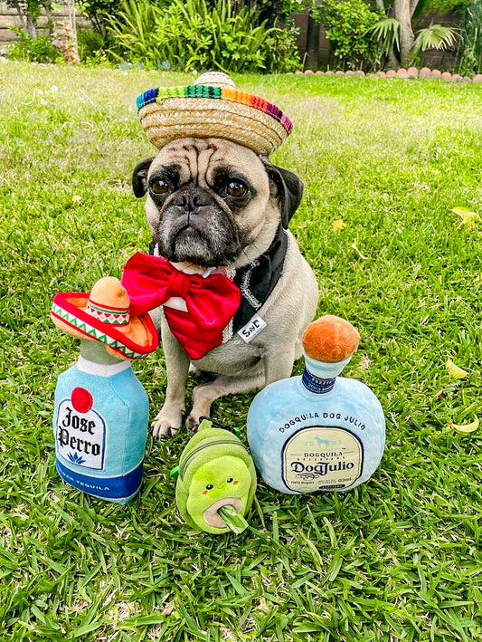 Mariachi Suit Dog Bandana