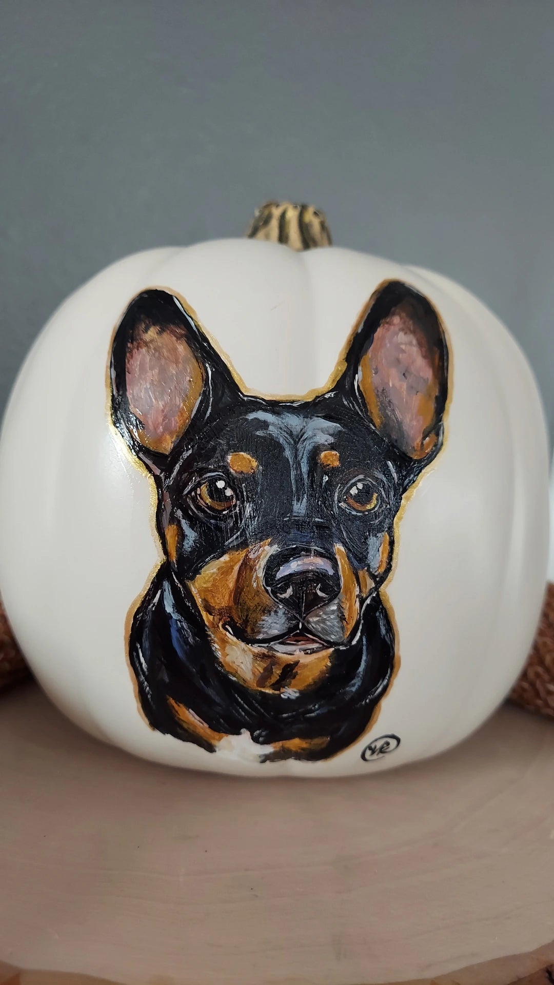 Hand painted Pet Pumpkins