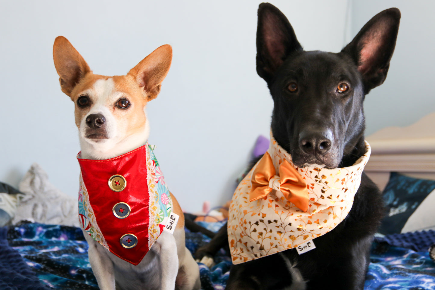 Candy Soldier Dog Bandana