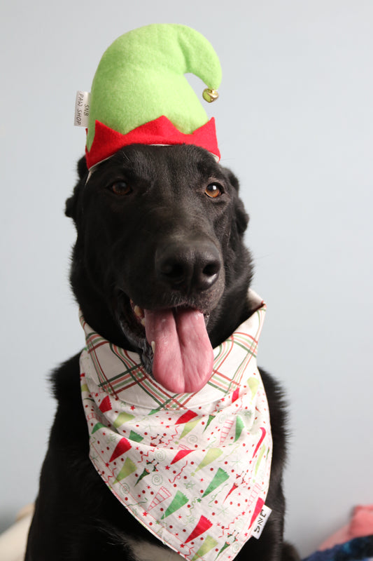 Christmas Gnomes Dog Bandana