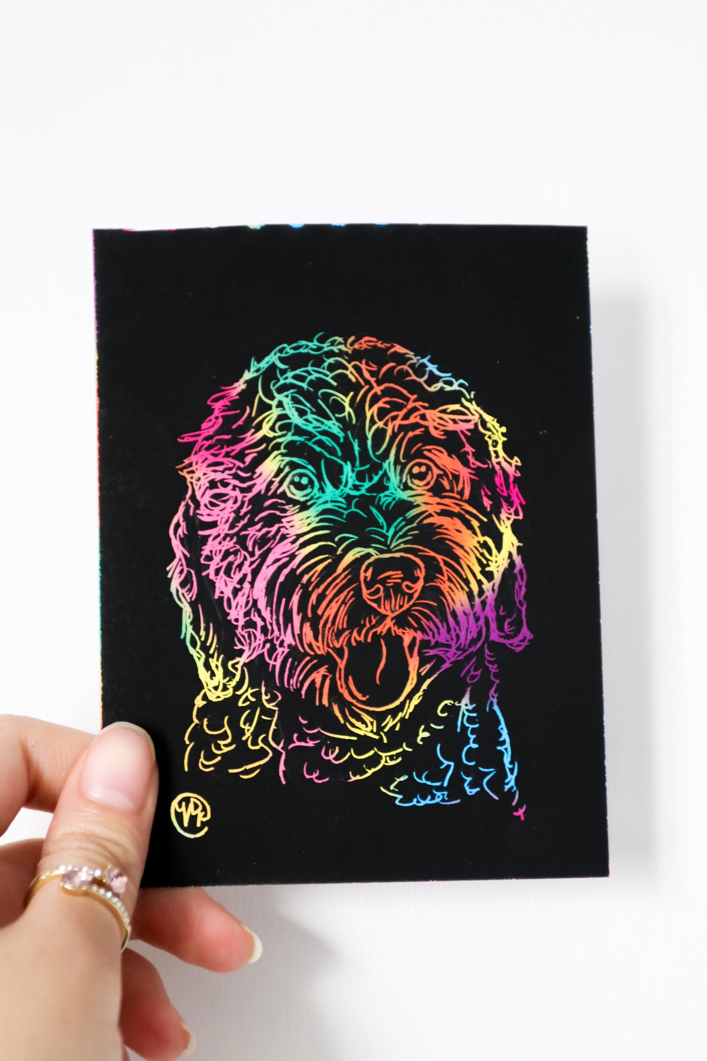 Scratch Art Pet Drawings