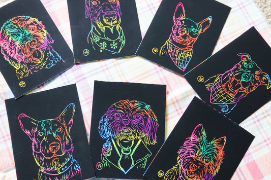 Scratch Art Pet Drawings