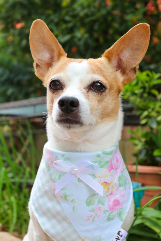 Minty florals Dog Bandana