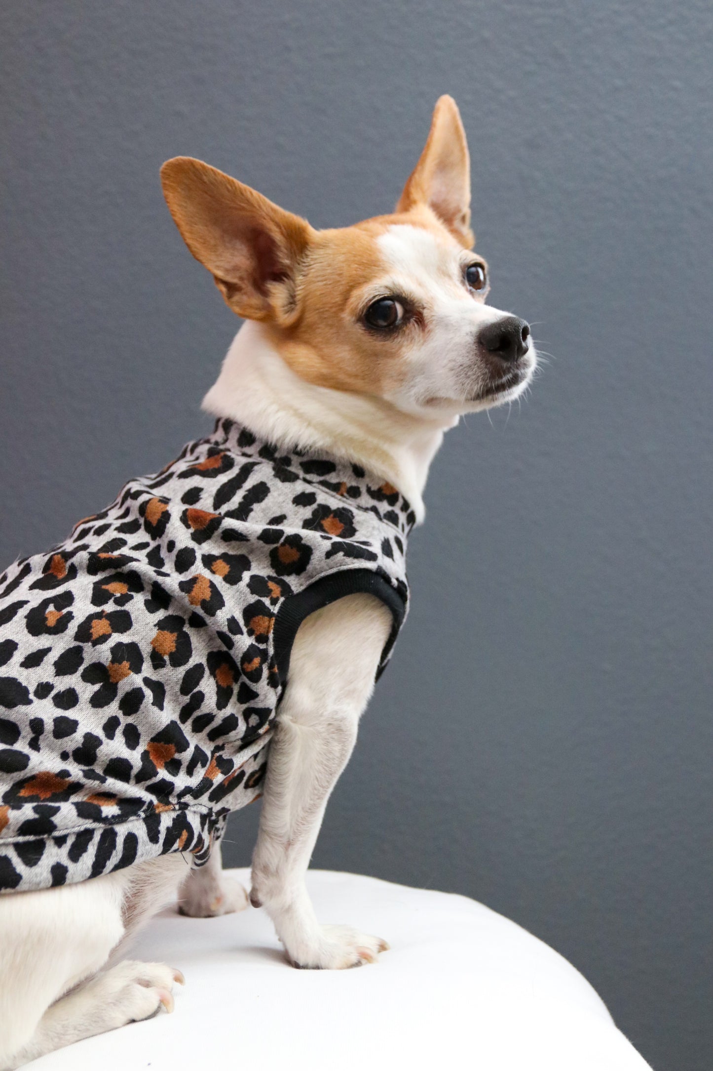 Grey Leopard Dog Tank Top