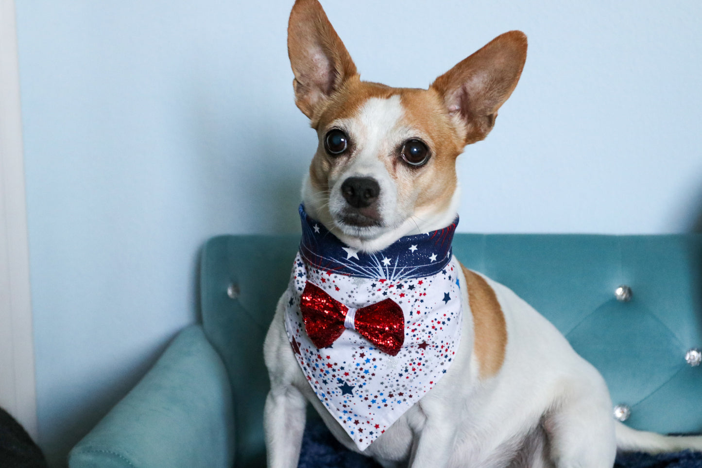 You're a firework Dog Bandana