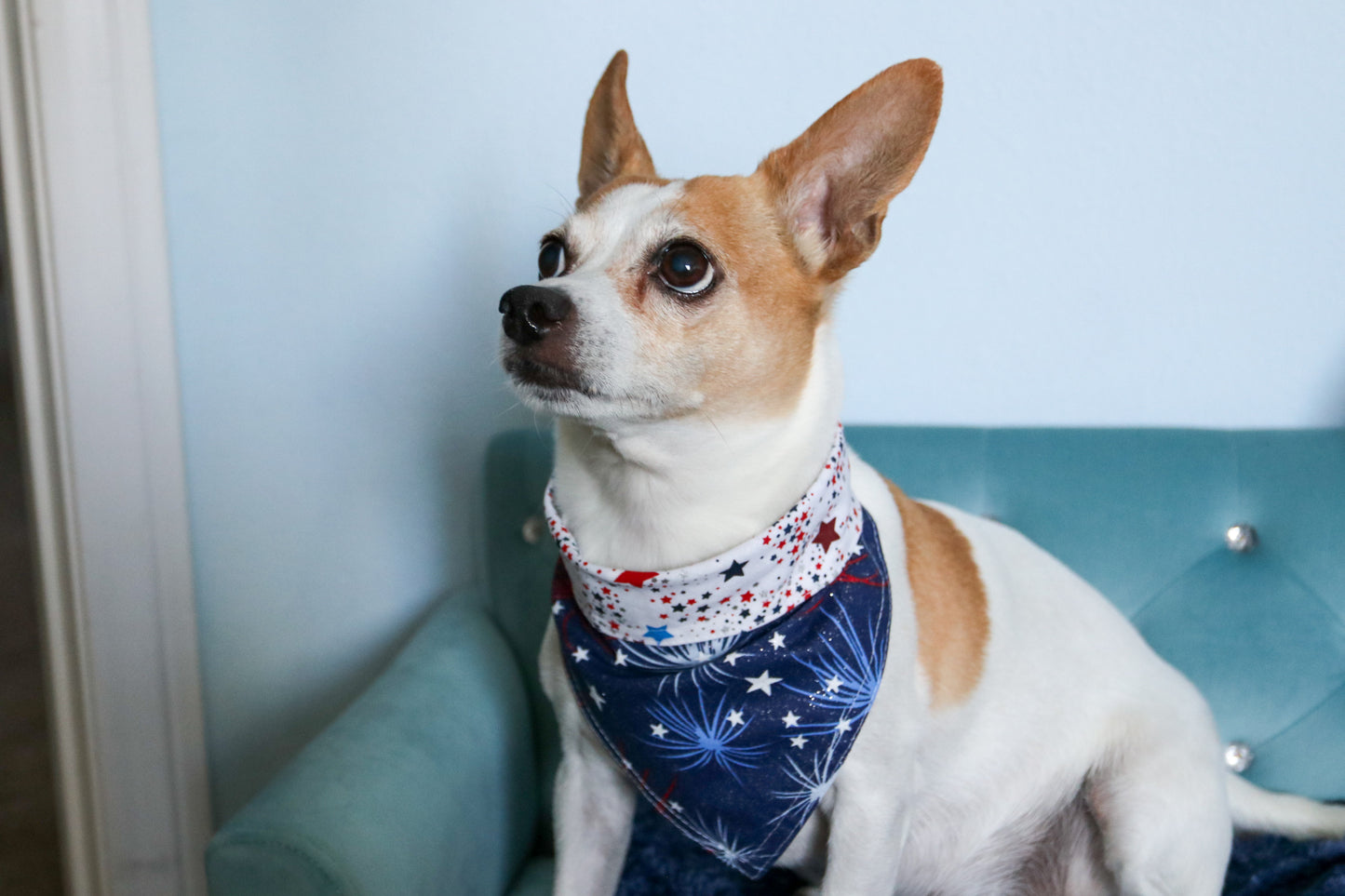 You're a firework Dog Bandana