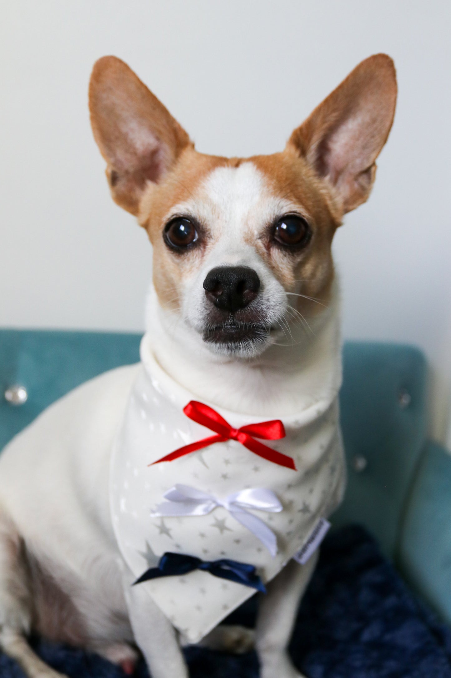 American Babe Dog Bandana