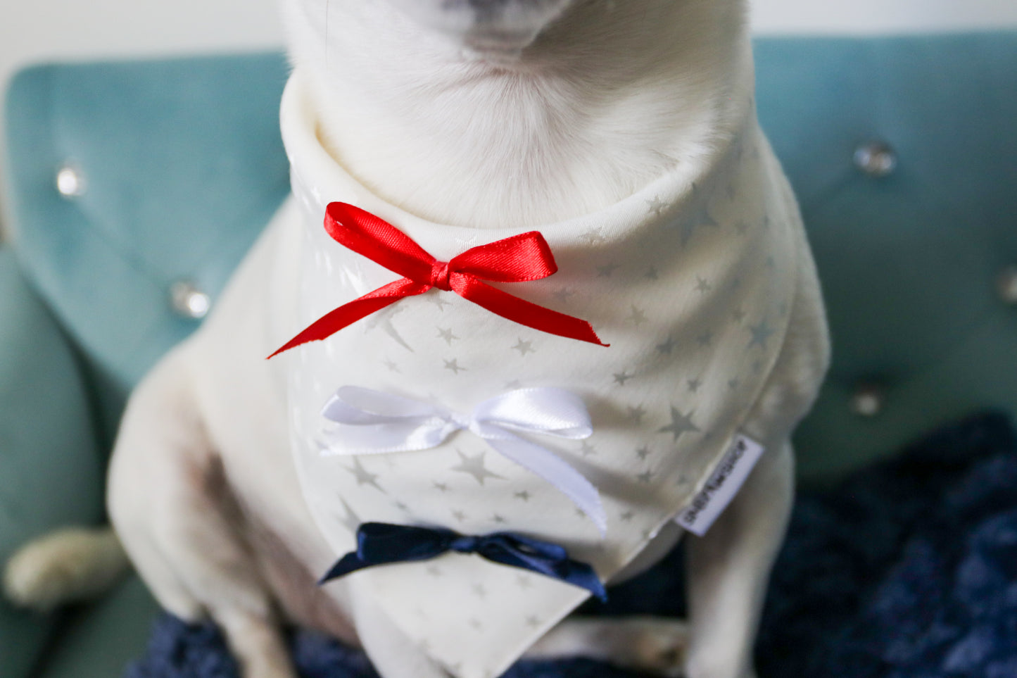 American Babe Dog Bandana