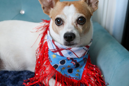 Party in the USA Dog Bandana