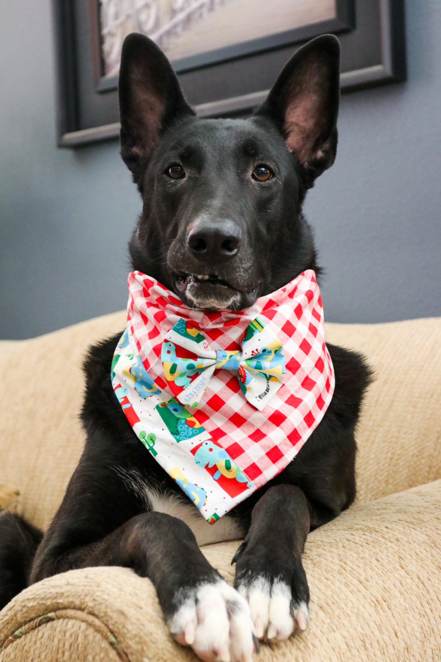 Smart Dinos Dog Bandana