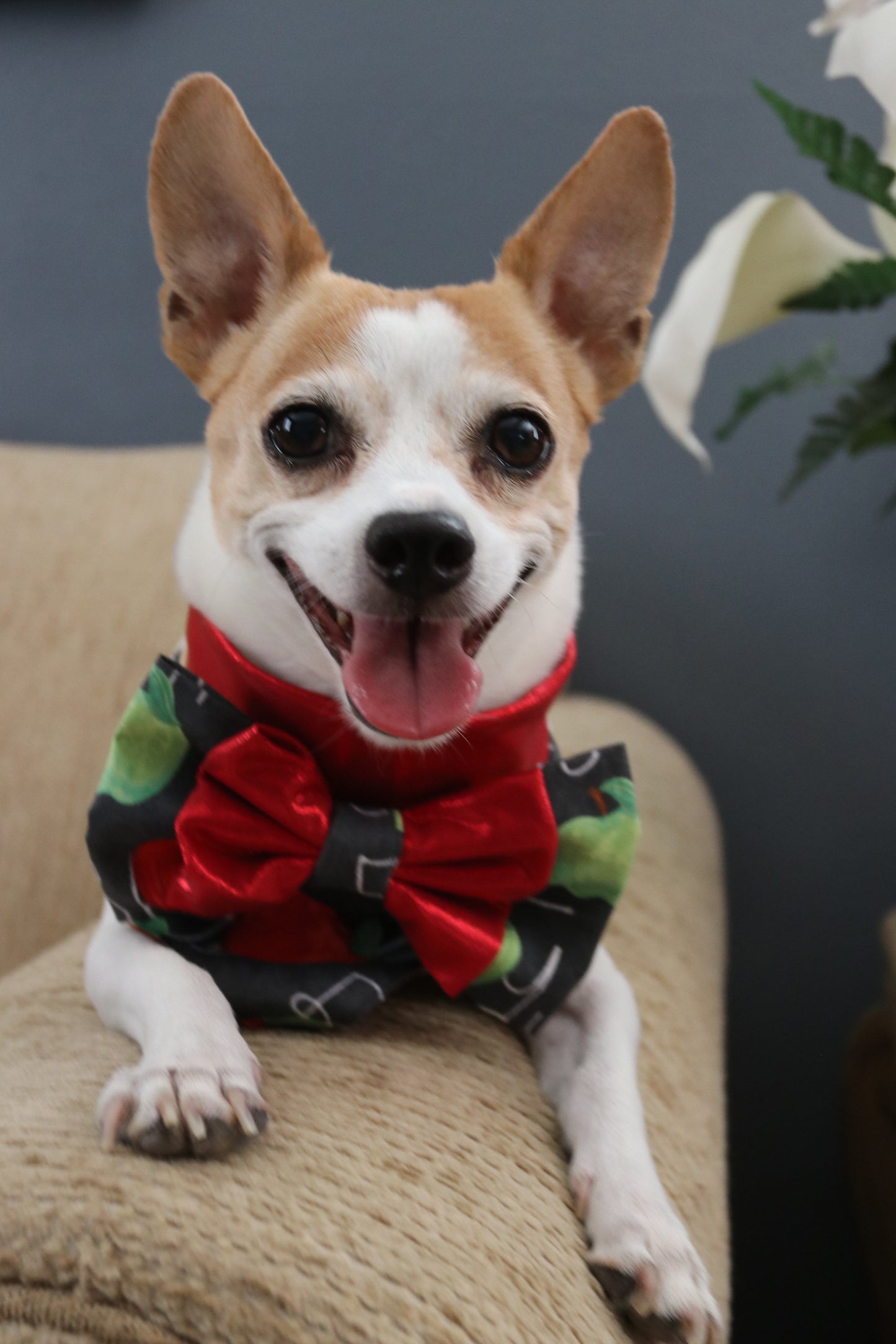 ABCs Dog Bandana