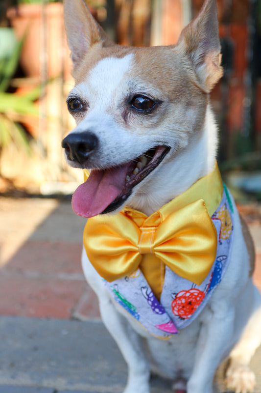 Brain Power Tux Dog Bandana