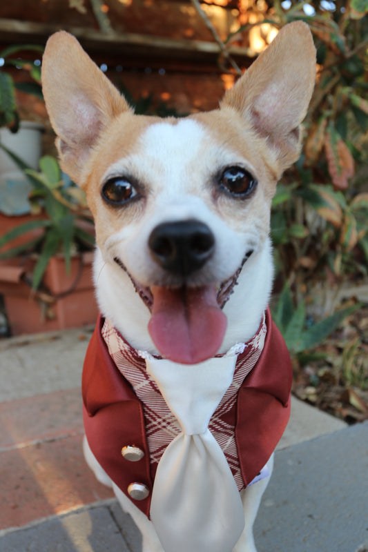 Barkingham Suit Dog Bandana