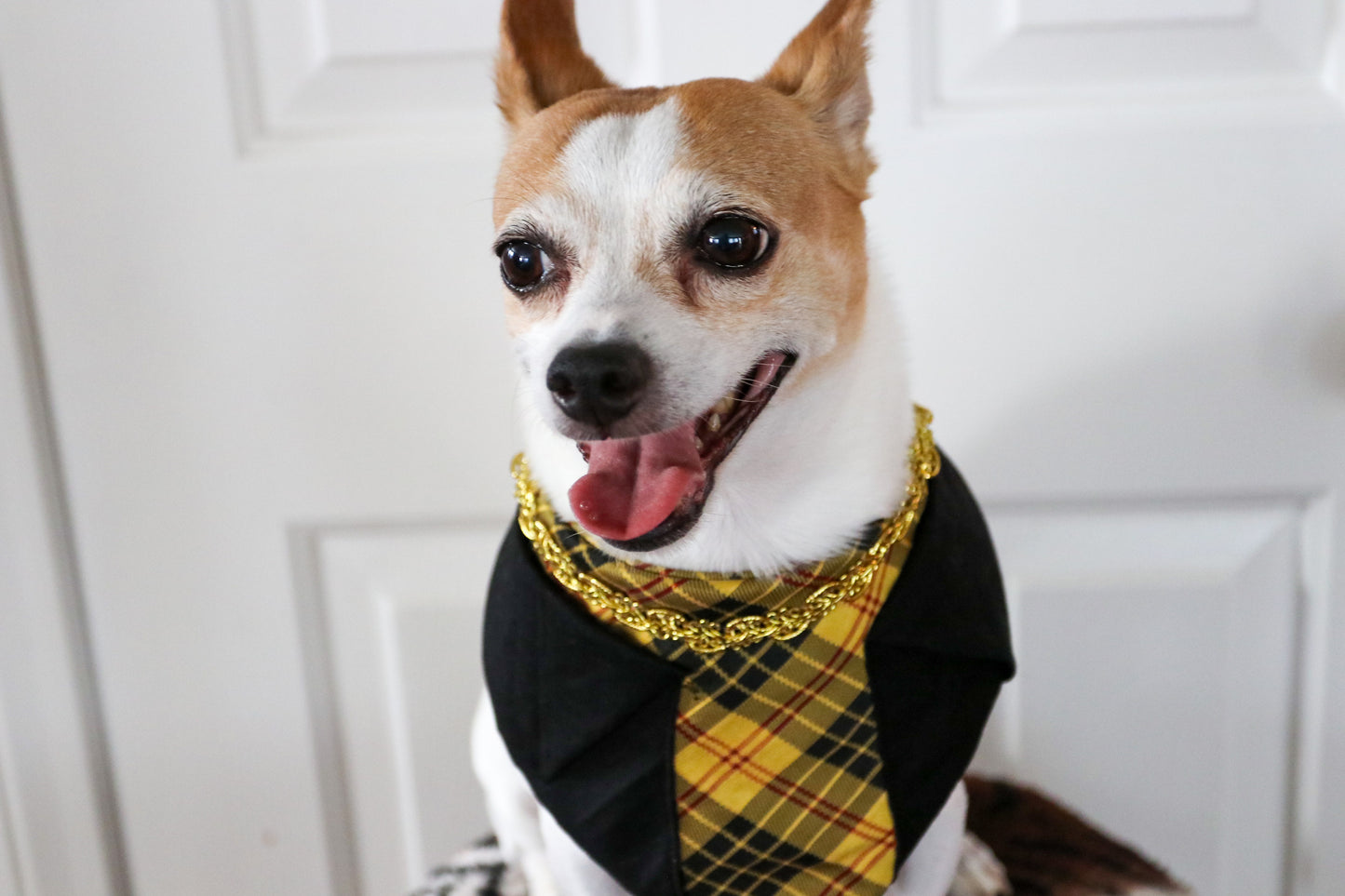 So Fancy Dog Bandana