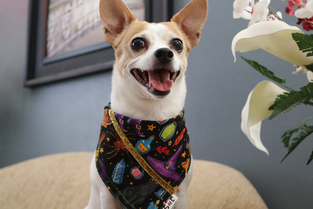 Magic Potion Dog Bandana