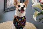 Magic Potion Dog Bandana