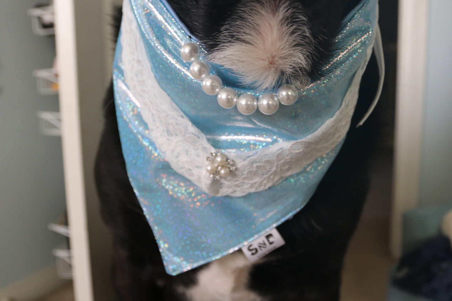 Frosty Elegance Dog Bandana