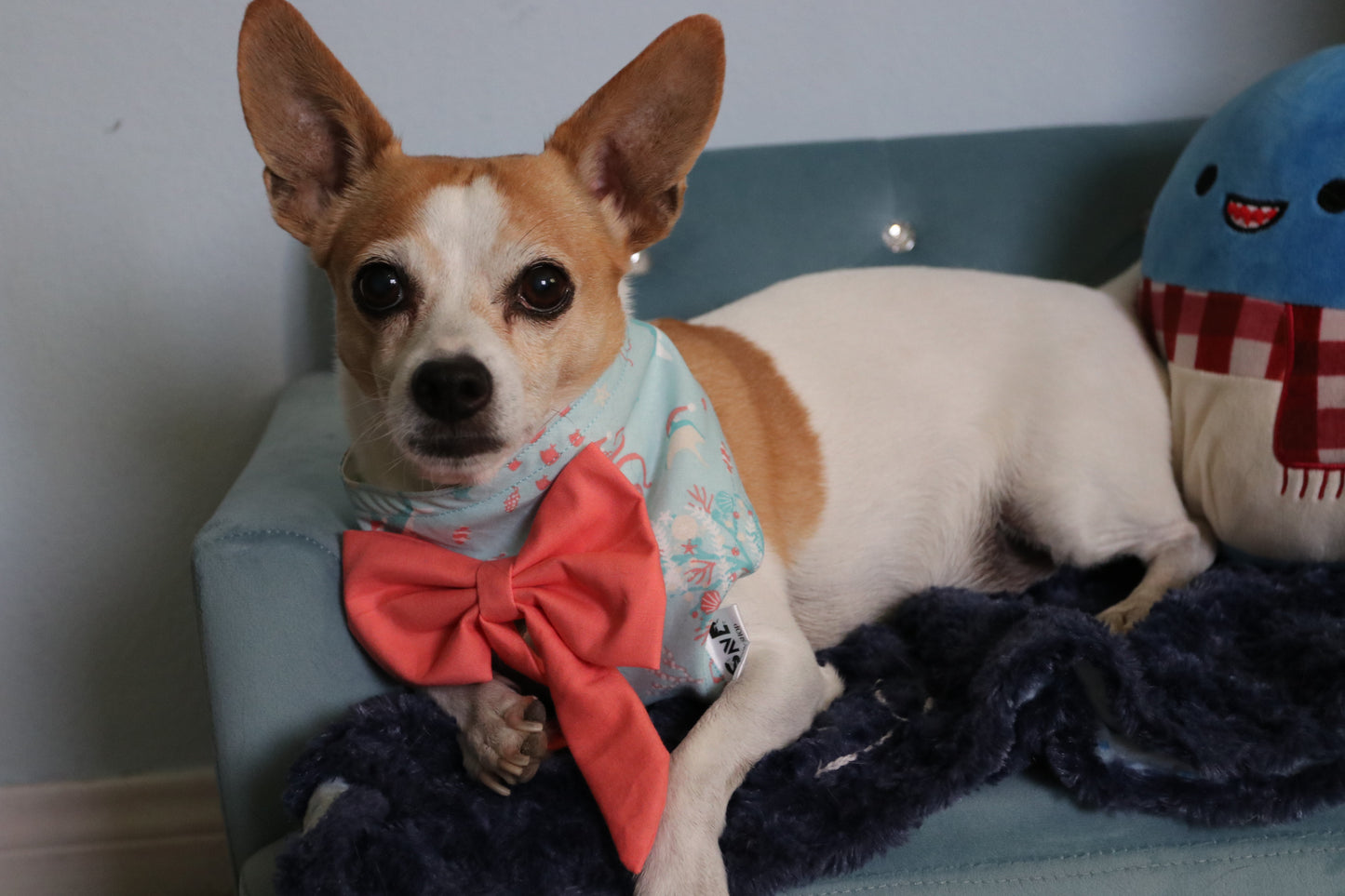 Underwater Christmas Celebration Dog Bandana