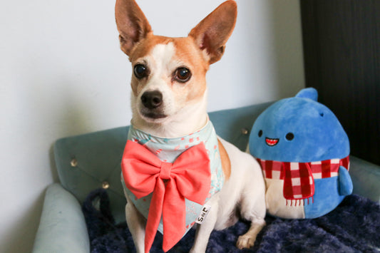 Underwater Christmas Celebration Dog Bandana