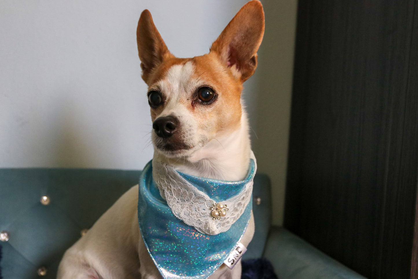 Frosty Elegance Dog Bandana