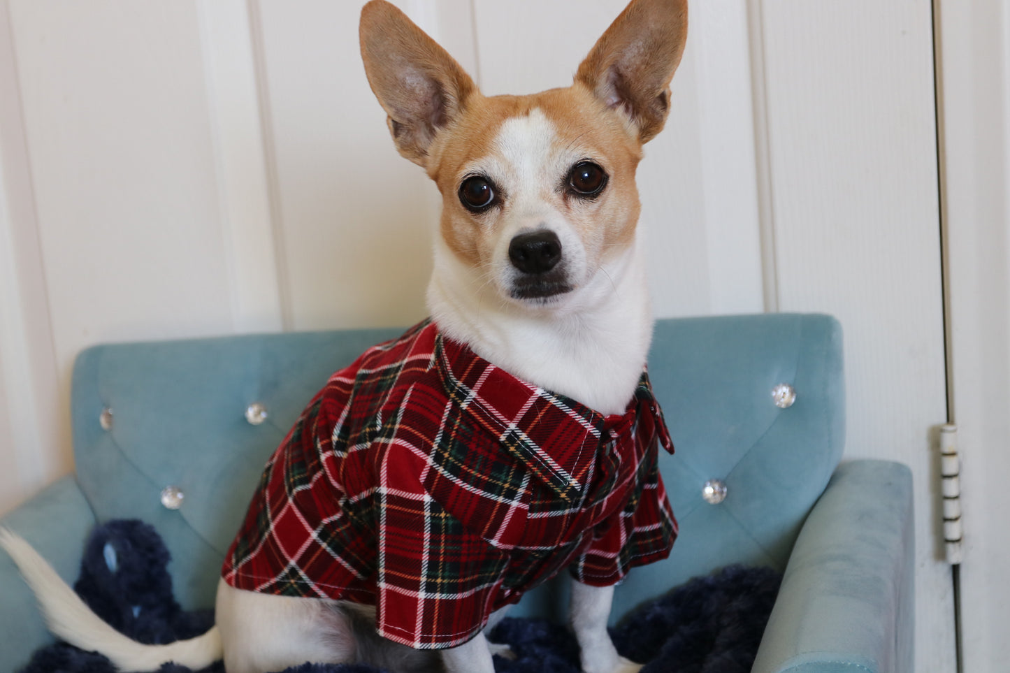 Red Plaid Dog PJ