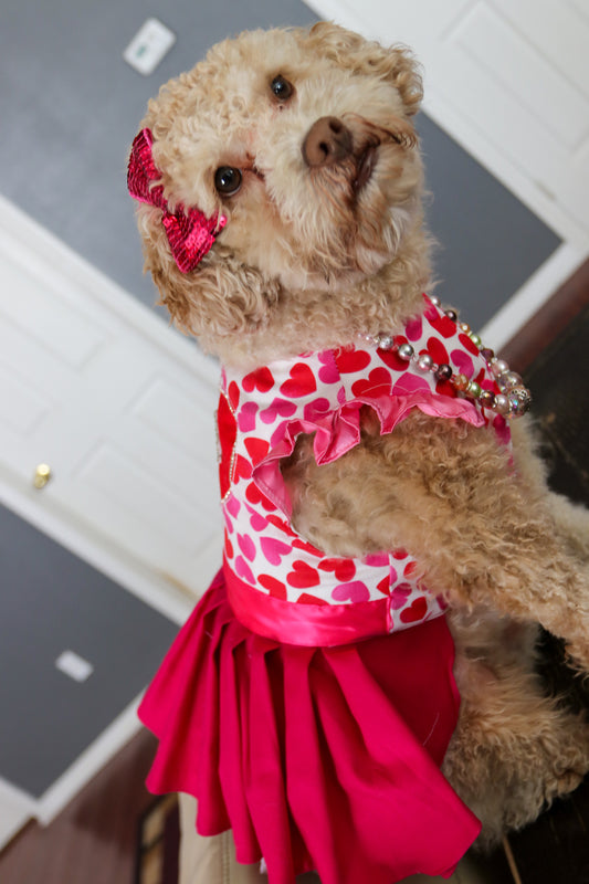 Valentine Dog Dress